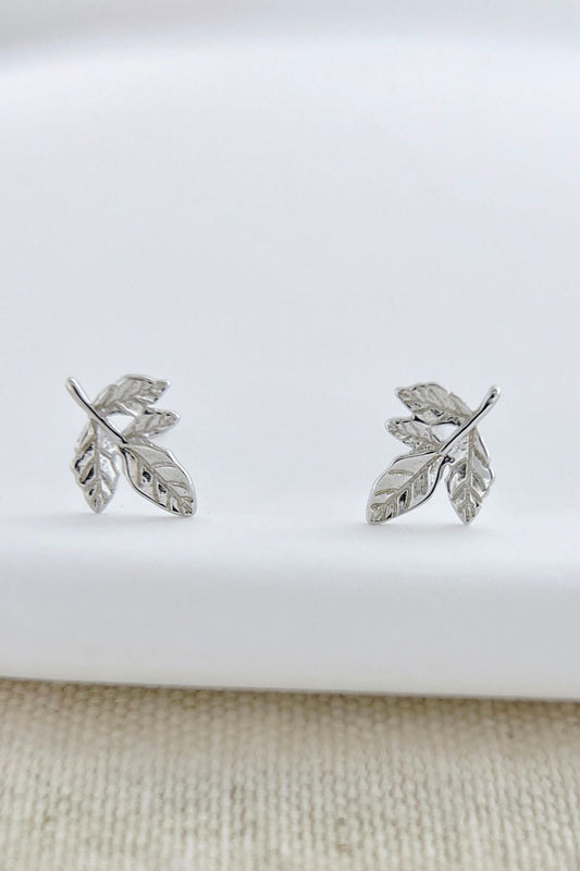 sterling-silver-leaf-stud-earrings-in-silver-closeup