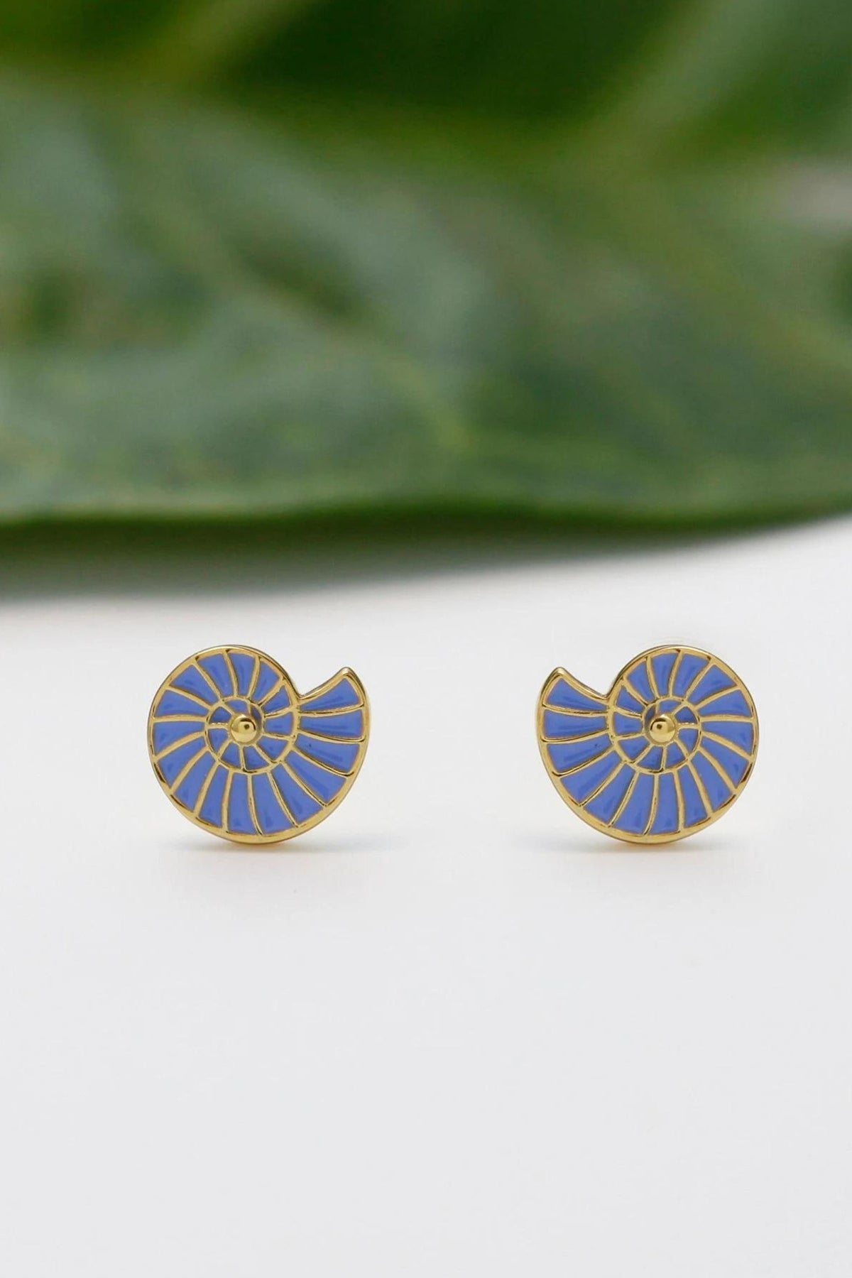 sterling-silver-sea-shell-studs-in-gold