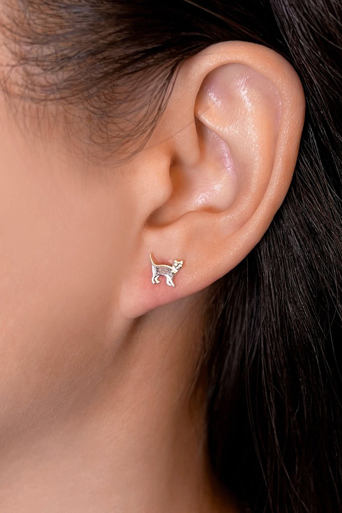 sterling-silver-cat-studs-in-silver-model