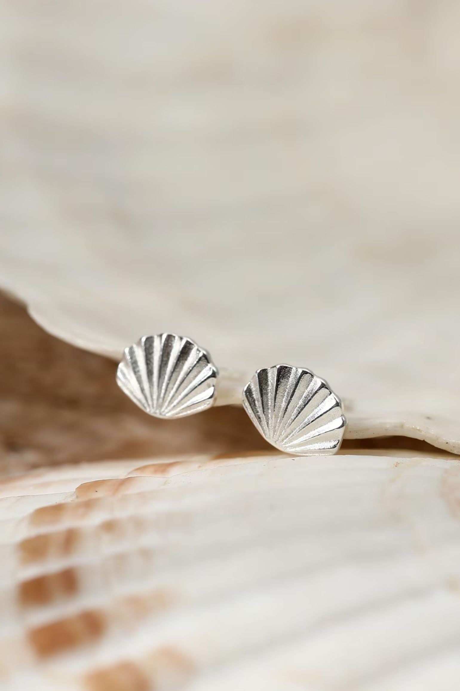sterling-silver-sea-shell-studs-wedding